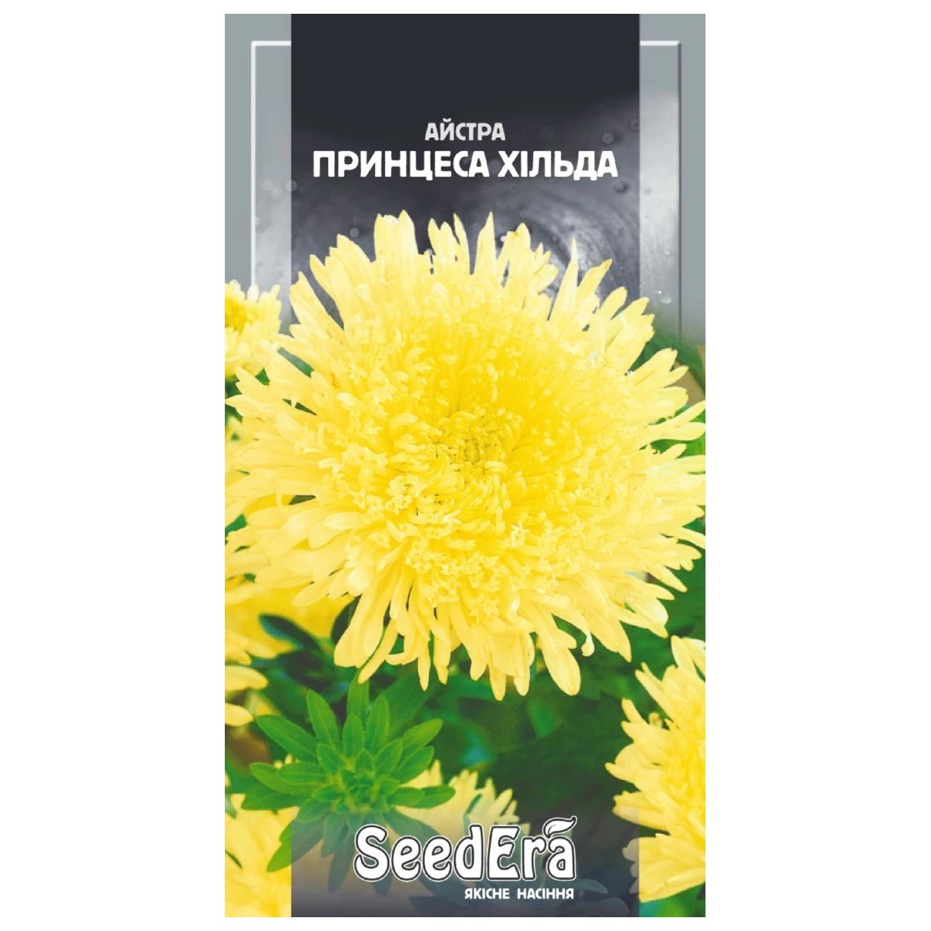 Квіти Seedera Айстра високоросла Принцеса Хільда 0,25г
