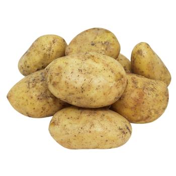 Картофель молодой Египет - купить, цены на NOVUS - фото 1