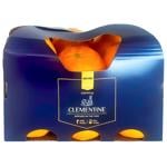 Metro Premium Clementine 1kg