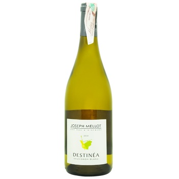 Destinea Sauvignon Blanc Wine white dry 12% 0.75l - buy, prices for - photo 1