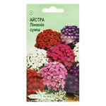 Elitesort Nasinnya Aster Pinocchio Mixture Flowers 0.1g