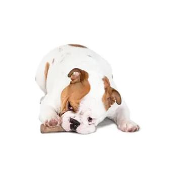 Іграшка для собак Petstages Dogwood Stick 21 см x 4.5 см x 3 см - купити, ціни на MasterZoo - фото 2