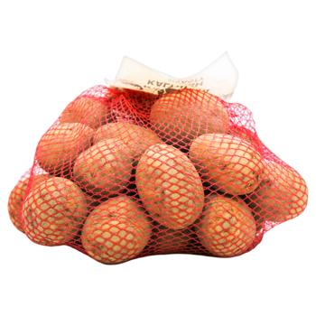 Картопля Kalynivka 2,5кг