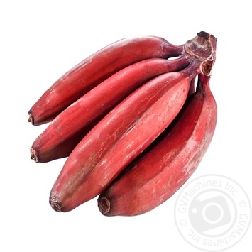 Red Baby Banana - buy, prices for METRO - photo 1