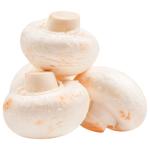 Champignons