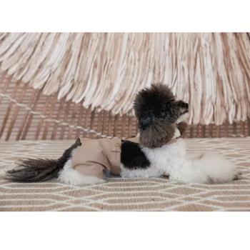 Шорти для собак Pet Fashion Leo XXS - бежевий - купить, цены на MasterZoo - фото 8