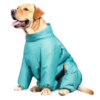 Pet Fashion Cold Raincoat for Dogs s.M Dachshund Turquoise - buy, prices for MasterZoo - photo 2