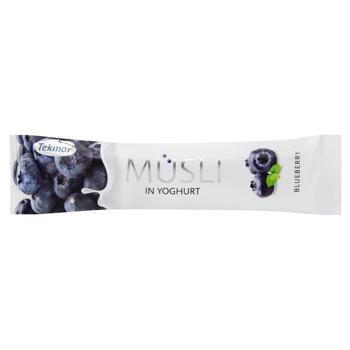 Tekmar With Blueberries In Yogurt Muesli