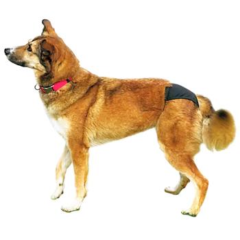 Underpants Trixie Germany - buy, prices for MasterZoo - photo 5