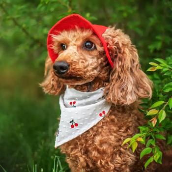 Панама для собак Hat-Dog р.XL красный - купить, цены на MasterZoo - фото 5