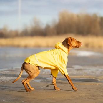 Noble Pet Moss Raincoat for Dogs s.L Yellow - buy, prices for - photo 5