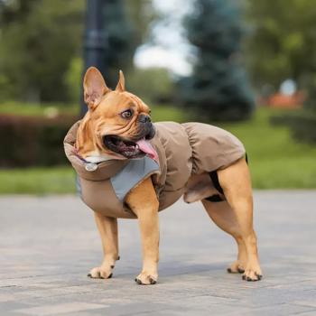 Жилет для собак Pet Fashion Chip р.S - купить, цены на MasterZoo - фото 6