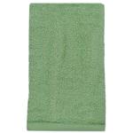 Home Line Light Green Terry Towel 40*70cm