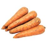Vegetables carrot fresh