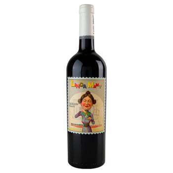 El Soleado Linda Mamy Cabernet Franc Red Dry Wine 15% 0.75l - buy, prices for MegaMarket - photo 1