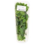 Zelenenka Mint 50g