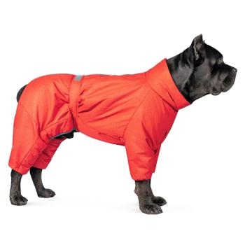 Pet Fashion Cold Raincoat for Dogs s.S Red - buy, prices for MasterZoo - photo 4