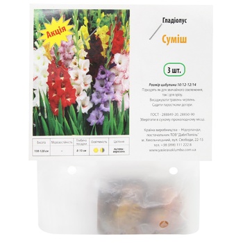 Gladiolus Mix 3pcs - buy, prices for - photo 1