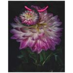 Art Studio of Happines GB-24126 Gift Bag 18х23х10cm