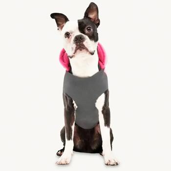 Goo-eez Hooded Signature Winter Jacket for Dogs with Hood s.2XS Pink - buy, prices for MasterZoo - photo 2