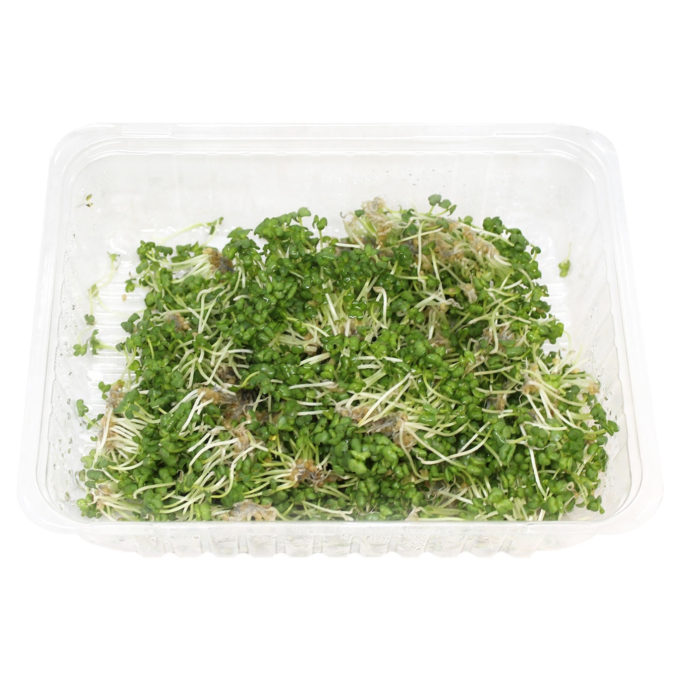 

Микрозелень SkyGreen горчица 50г