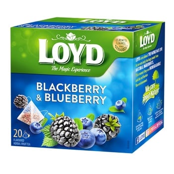 Loyd Blackberry and Blueberry Fruit Tea 2g*20pcs - buy, prices for NOVUS - photo 1