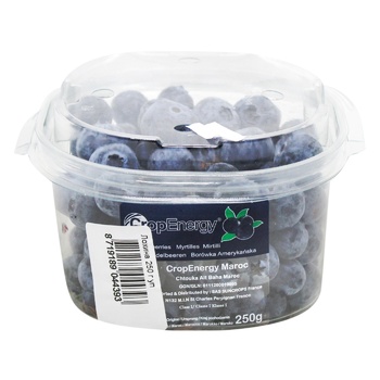 Fresh Blueberries 250g - buy, prices for - photo 19