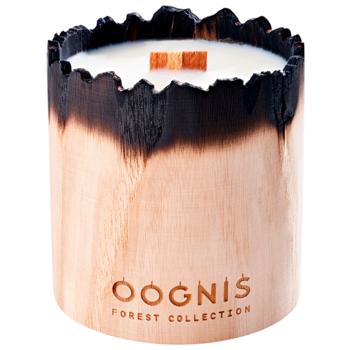 Oognis Forest Collection Tobacco Tree Scented Candle - buy, prices for WINETIME - photo 1