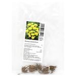 Yellow Buttercup Bulb 5pcs