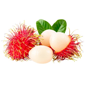 fruit rambutan fresh