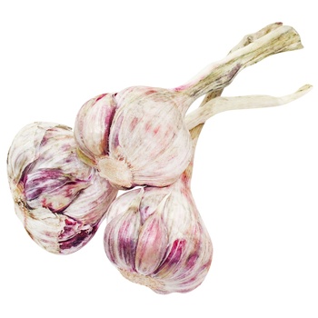 Young Garlic - buy, prices for MegaMarket - photo 1