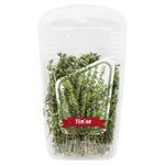 Thyme 50g