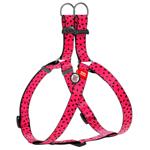 Leash "collar company" llc Ukraine