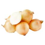 Цибуля рiпчата