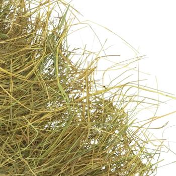 Hay My furry 2000g - buy, prices for MasterZoo - photo 2