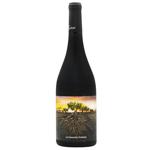 Вино Vintae La Garnacha Olvidada de Aragon красное сухое 15% 0,75л