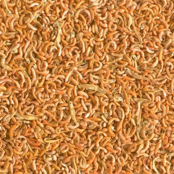 Натуральний корм для водоплавних черепах Tetra «Gammarus Mix» сушені гаммарус та анчоус 250 мл - купити, ціни на MasterZoo - фото 2