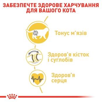 Корм сухий Royal Canin Adult для котів породи британська короткошерста 3,2кг+800г - купити, ціни на MasterZoo - фото 4