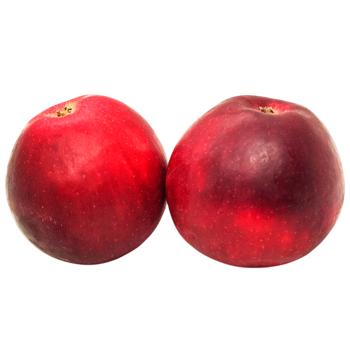 Williams Apple