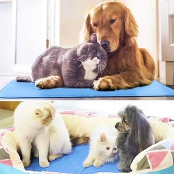 Килимок Master Zoo охолоджуючий M 40 х 50 см - кольори в асортименті - купить, цены на MasterZoo - фото 6