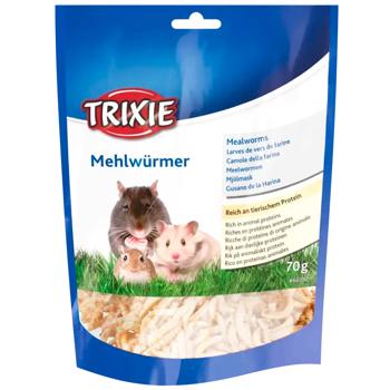 Trixie Mealworms ласощі для гризунів 70 г - хрущак - купити, ціни на MasterZoo - фото 1