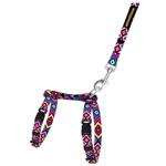 Barksi BronzeDog Urban шлея з повідцем для собак XXS - різнокольоровий