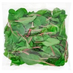 Vita Verde Chard Salad 75g