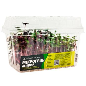 Growing Live Microgreen 70g - buy, prices for - photo 2