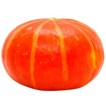 Trostynka Hokkaido Pumpkin