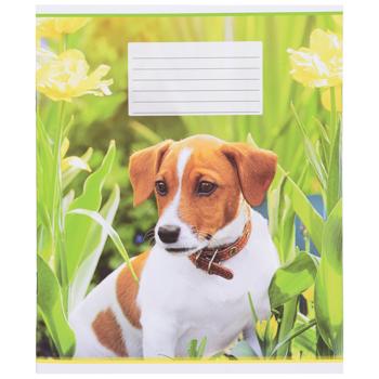 Poligrafist 24 Sheets Checkered Excercise Book - buy, prices for Ideal - photo 1