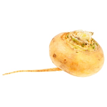 Turnip - buy, prices for - photo 1