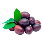 Ukrainian Premium Plum