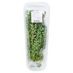 Thyme 50g
