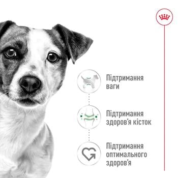 Корм сухой Royal Canin с домашней птицей для взрослых собак малых пород 800г - купить, цены на MasterZoo - фото 2